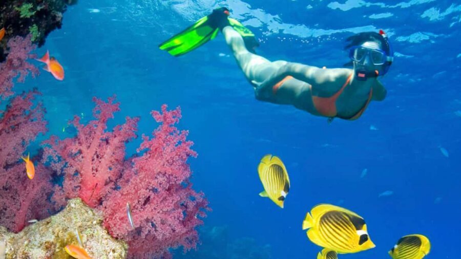 From Punta Cana: Catalina Island Swim, Sail & Snorkel - Getting to the water: pickup, bus, and a smoother ride than DIY