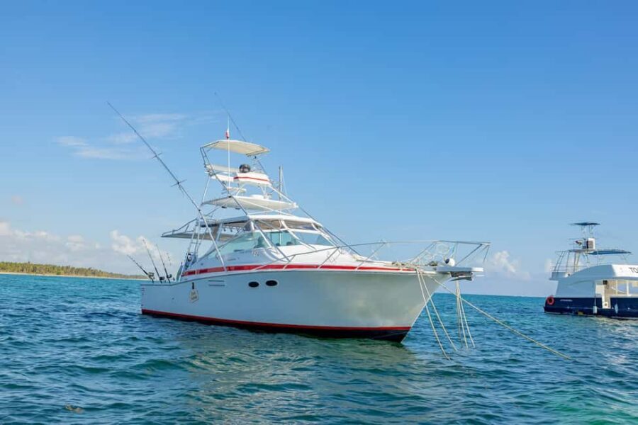 From Punta Cana: Deep Sea Fishing Tour by Boat with Drinks - Key things that make this tour worth a look