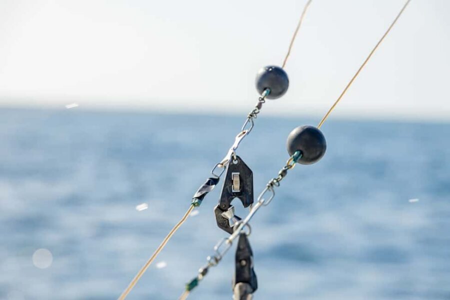 From Punta Cana: Deep Sea Fishing Tour by Boat with Drinks - Getting to the boat from Punta Cana: pickup, timing, and common pitfalls