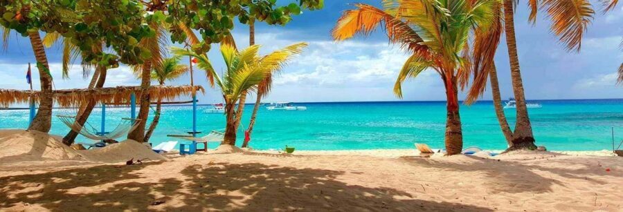 From Punta Cana: Exclusive Catalina Island Tour with Transportation and Lunch - Key things I’d circle on your plan