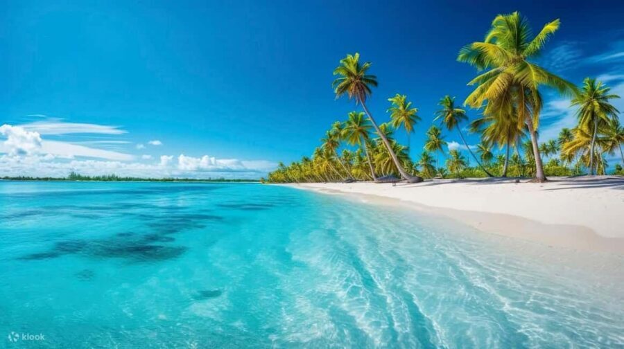 From Punta Cana: Exclusive Catalina Island Tour with Transportation and Lunch - Catalina Island: why this trip feels like a real vacation break