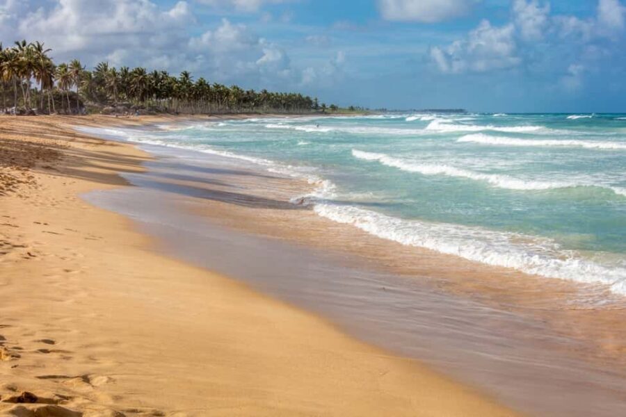 From Punta Cana: Full-Day Island Tour with Lunch - From villages to producers: Coconut oil and the working side of the island