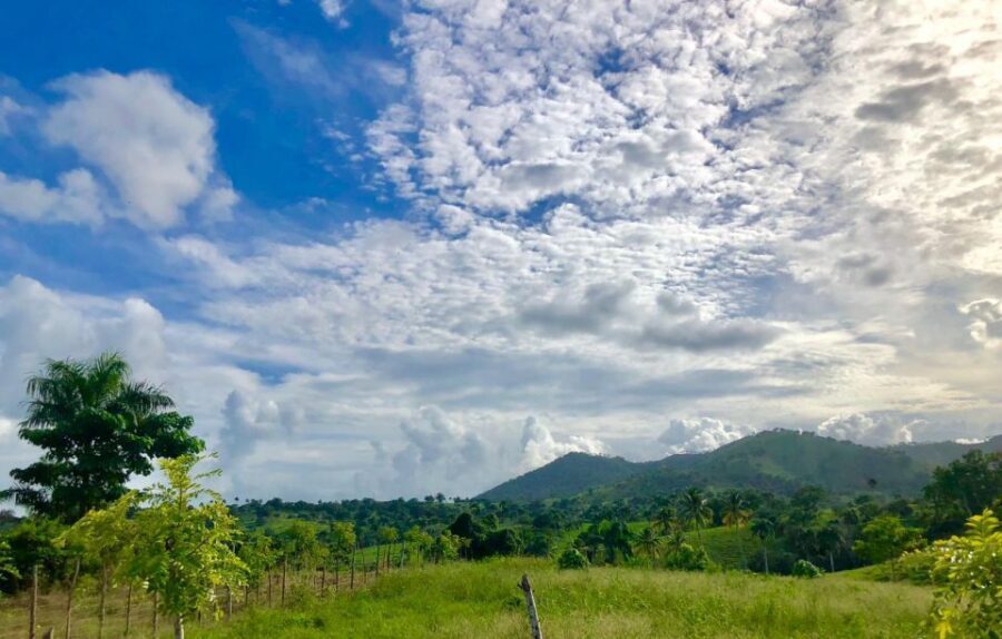 From Punta Cana: Jungle Buggy Adventure to Anamuya River - Should you book the Jungle Buggy Adventure to Anamuya River?
