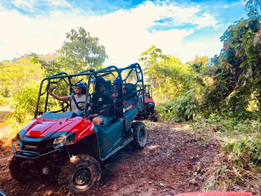 From Punta Cana: Jungle Buggy Adventure to Anamuya River - Honda Pioneer 700: what you do before the wheels hit dirt