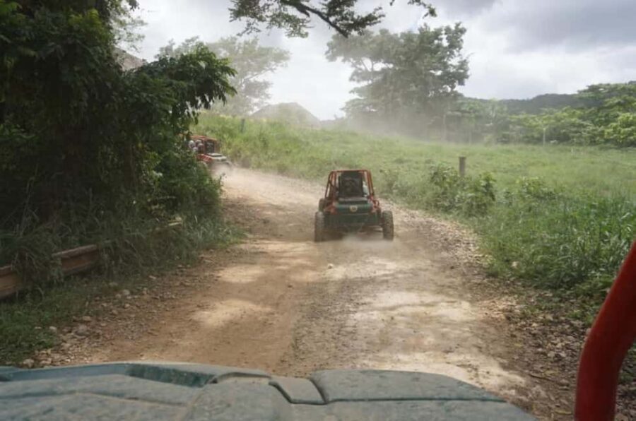 From Punta Cana or La Romana: Sugarcane Fields Buggy or Quad - Key Points at a Glance