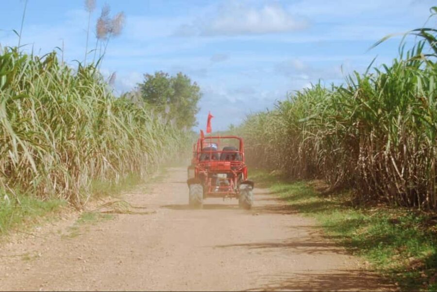 From Punta Cana or La Romana: Sugarcane Fields Buggy or Quad - Hotel Pickup by A/C Van: Easy Start, Wild Middle