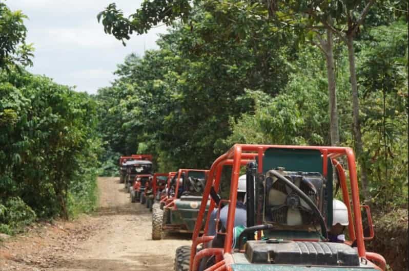 From Punta Cana or La Romana: Sugarcane Fields Buggy or Quad - Chavón River Swim: The Best Cooling Moment of the Day