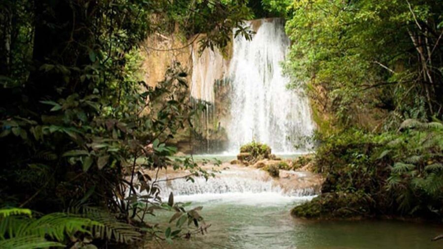 From Punta Cana: Samana and Bacardi Island Cruise and Tour - Who Should Book This Tour (and Who Should Rethink One Part)