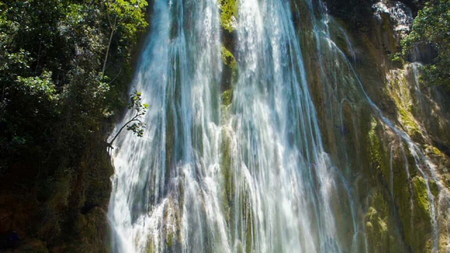 From Punta Cana: Samana Full Day Trip by Bus and Boat - El Limón Waterfall by horse: what you’ll love and the concern you should weigh