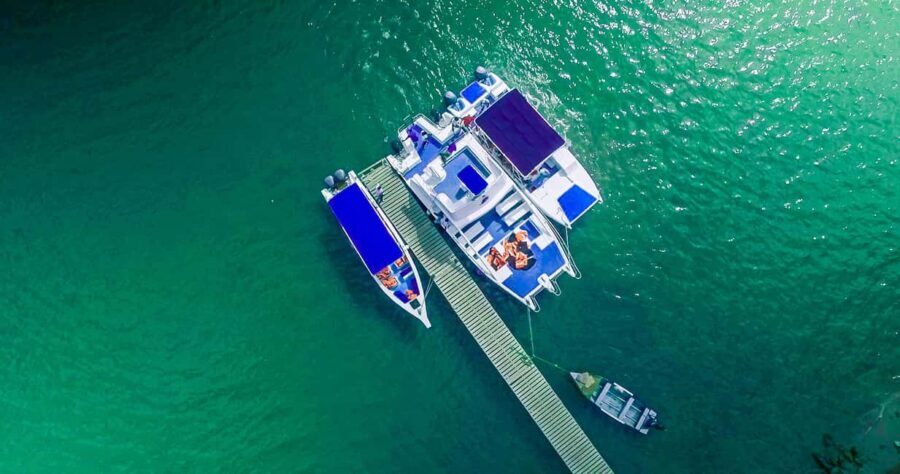 From Punta Cana: Samana Full Day Trip by Bus and Boat - Speedboat to Santa Bárbara de Samaná and the transfer to El Limón