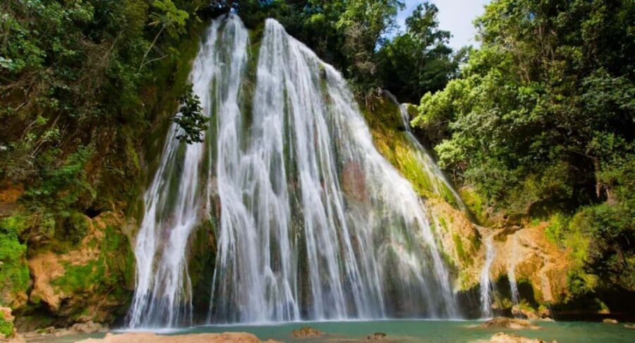 From Punta Cana Samana Tour With Cascada El Limon And Food - Whale watching in Samaná Bay (January to April): seasonal magic, not a guarantee