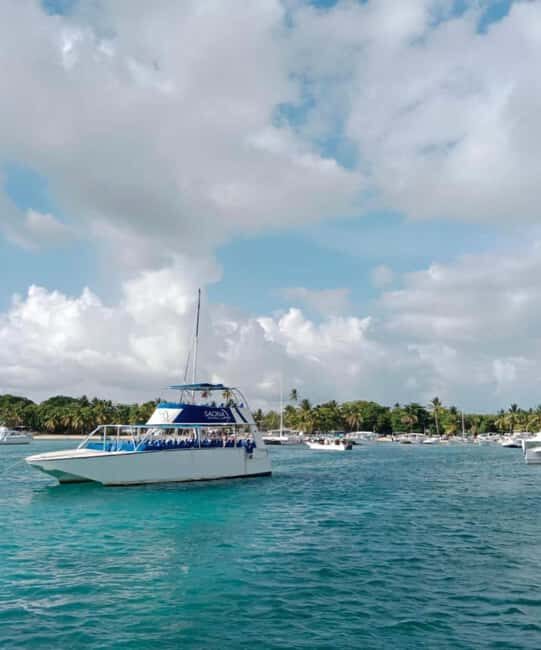 From Punta Cana: Saona Island Boat Trip with Buffet - Catamaran or speedboat crossing: comfort vs time