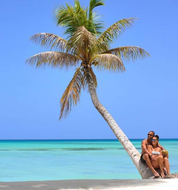 From Punta Cana: Saona Island Boat Trip with Buffet - Price and value at $79: what’s included, what you’re paying for