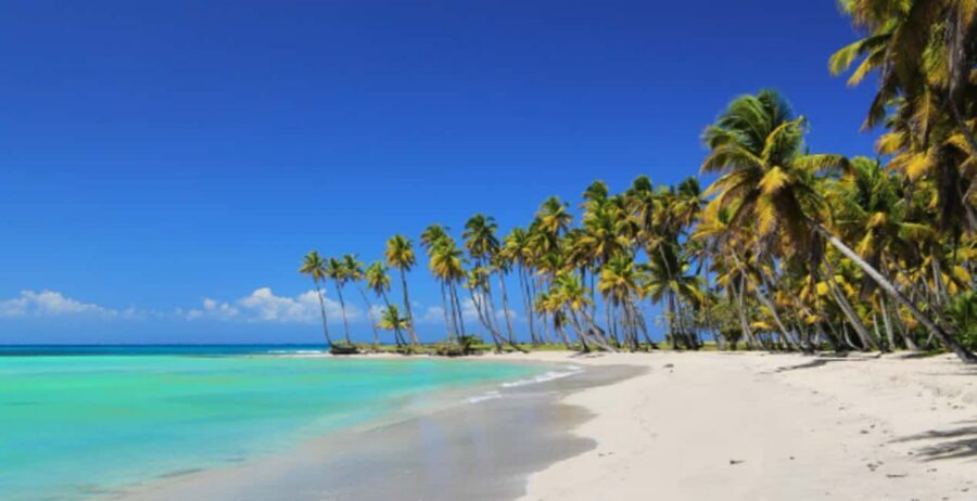 From Punta Cana: Saona Island Boat Trip with Buffet - Hotel pickup to Bayahibe: the timing that decides the day