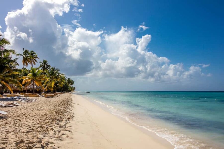 From Punta Cana: Saona Island Cruise with Private Beach - Saona Arrival: Private Beach Time on a 1km Stretch