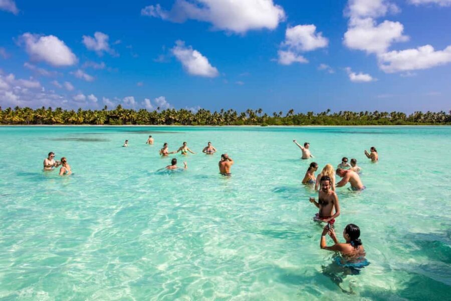 From Punta Cana: Saona Island Cruise with Private Beach - How Nature Protection Changes the Experience