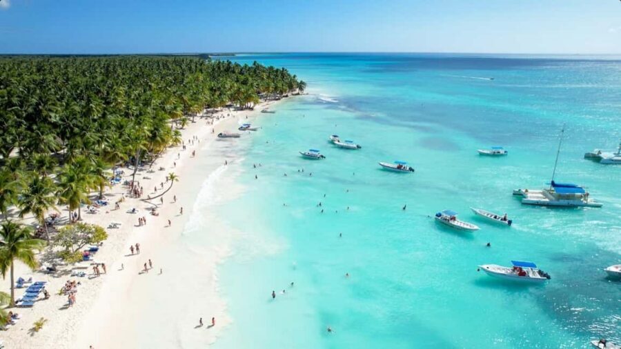 From Punta Cana: Saona Island Day Trip with Buffet Lunch - Key points I’d focus on