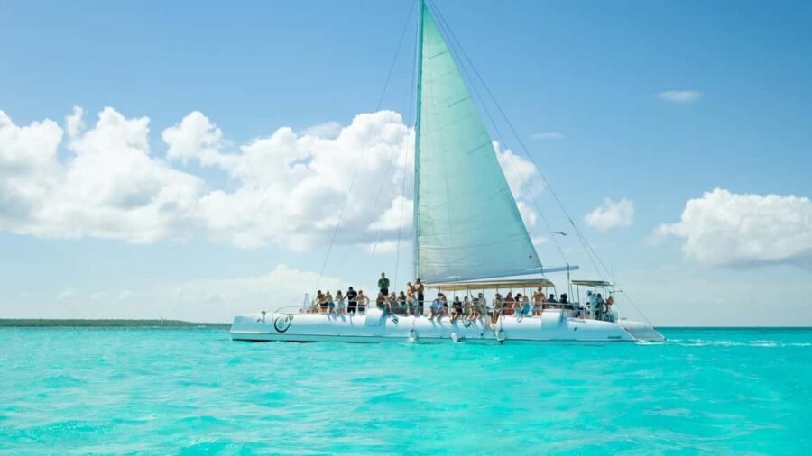 From Punta Cana: Saona Island Day Trip with Buffet Lunch - The beach day itself: swimming, snorkeling, and island entertainment