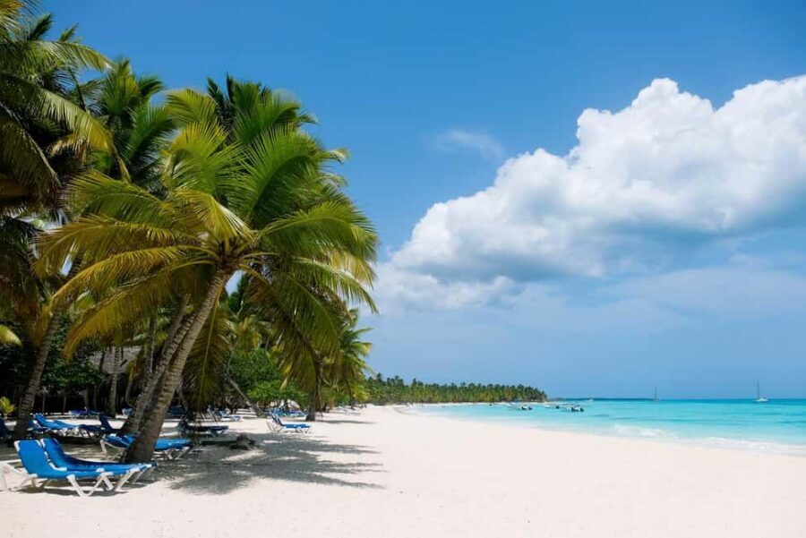 From Punta Cana: Saona Island Day Trip with Buffet Lunch - Buffet lunch on the sand: what you’re paying for and how to handle portions