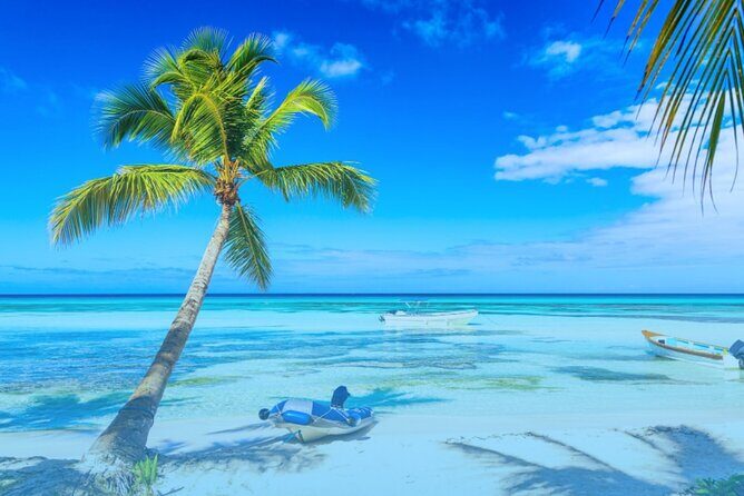 From Punta Cana: Saona Island Full Day For Small Group Catamaran - Isla Saona Time: Beach Walking, Swim Breaks, and Your 3-Hour Window