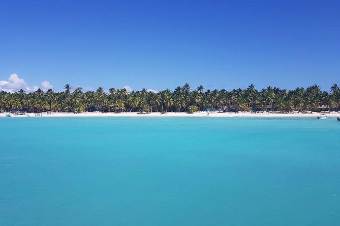 From Punta Cana: Saona Island Full Day For Small Group Catamaran - Lunch, Open Bar, and How to Make It Worth the Money