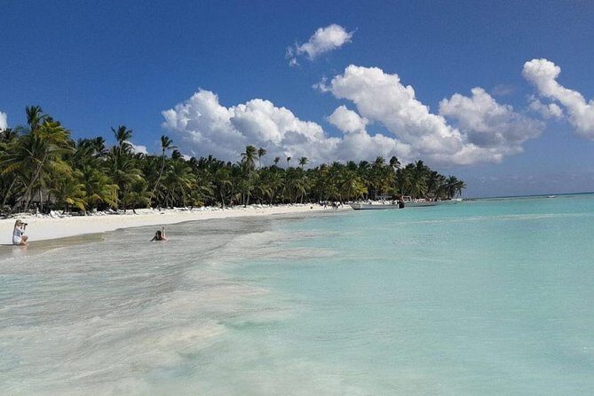 From Punta Cana: Saona Island Full Day For Small Group Catamaran - Small Group Size: What You’re Promised vs What You Should Watch