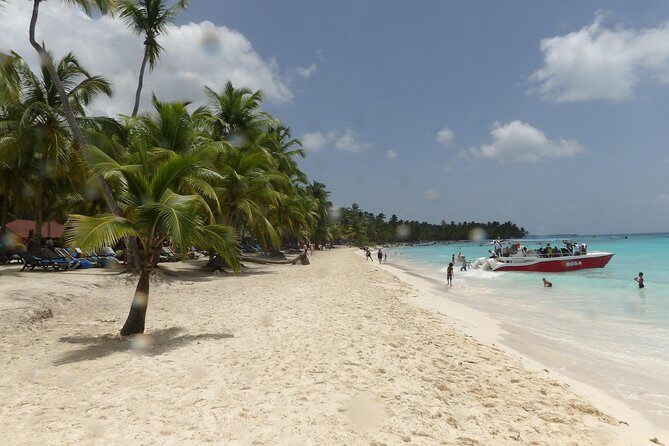 From Punta Cana: Saona Island Full Day For Small Group Catamaran - Price and Value: Is $78 a Good Deal for Saona?