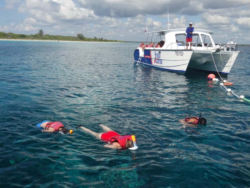 From Punta Cana: Saona Island Full-Day Tour with Lunch - Natural Swimming Pool Stop with Clear, Shallow Water