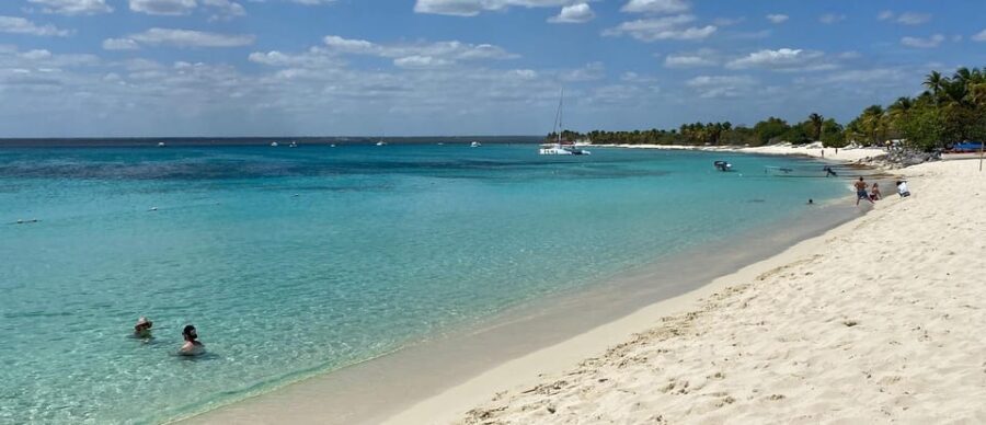 From Punta Cana: Saona Island Full-Day Tour with Lunch - Who This Saona Island Tour Suits Best (and Who Might Prefer a Different Plan)