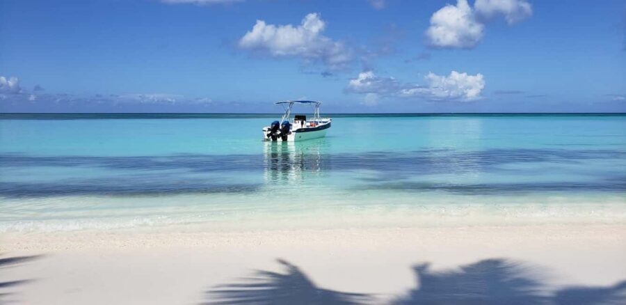 From Punta Cana: Saona Island Full-Day Tour with Lunch - Tips to Make the Most of a Packed 10-Hour Day