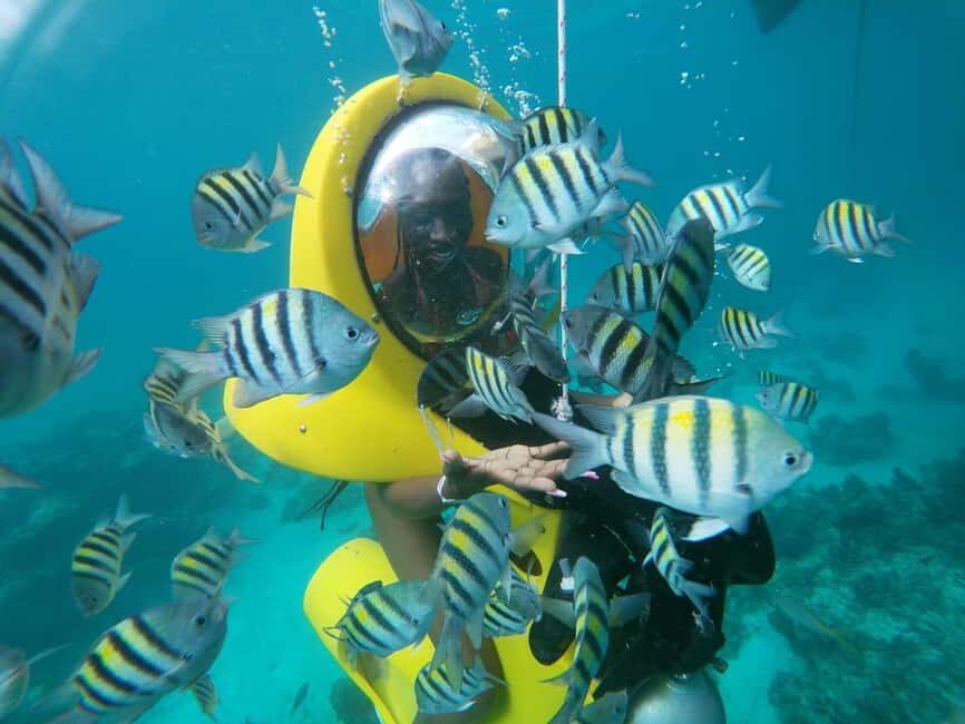 From Punta Cana: ScubaDoo, Snorkel & Glass Bottom Boat Tour - Quick hits before you go