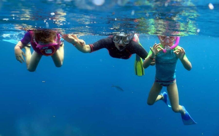 From Punta Cana: Small Group Catalina Island Snorkeling Tour - Catalina Island Snorkeling: The Wall and the Aquarium