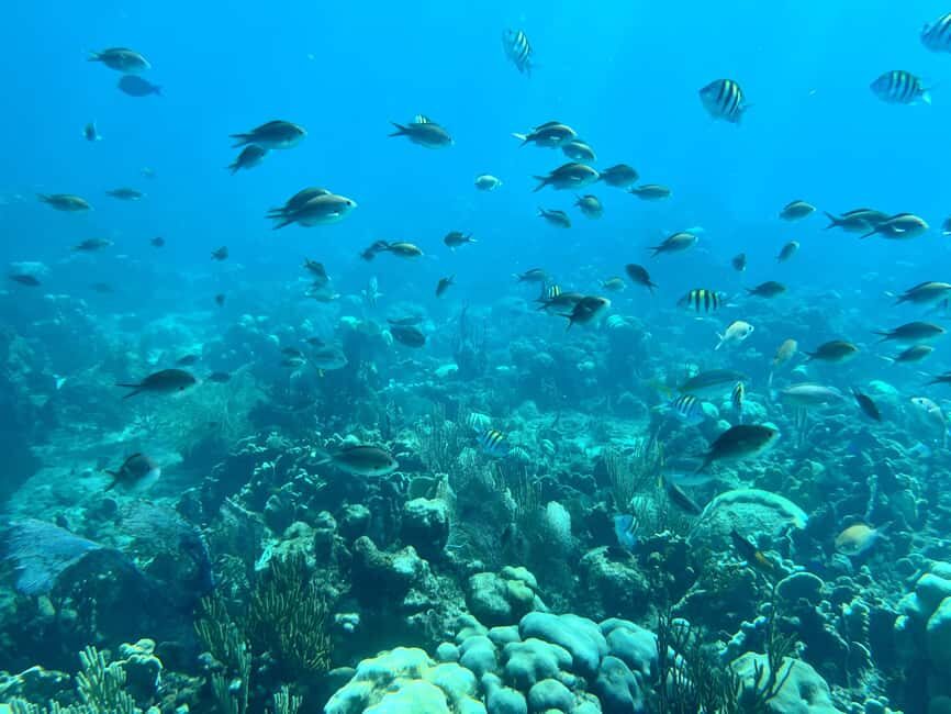 From Punta Cana: Small Group Catalina Island Snorkeling Tour - The 45-Foot Boat and the Small-Group Size (Max 30)