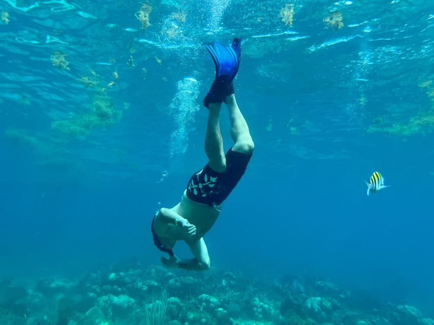 From Punta Cana: Small Group Catalina Island Snorkeling Tour - Getting There From Punta Cana and Bayahibe: Pickup, Drop-Off, and Meeting Point