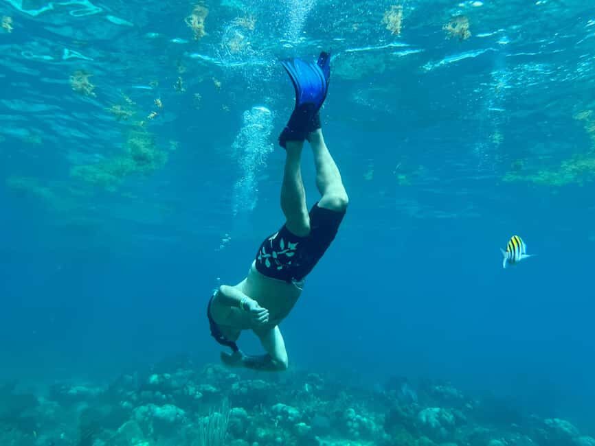 From Punta Cana: Small Group Catalina Island Snorkeling Tour - Who This Tour Fits Best (and Who Should Think Twice)