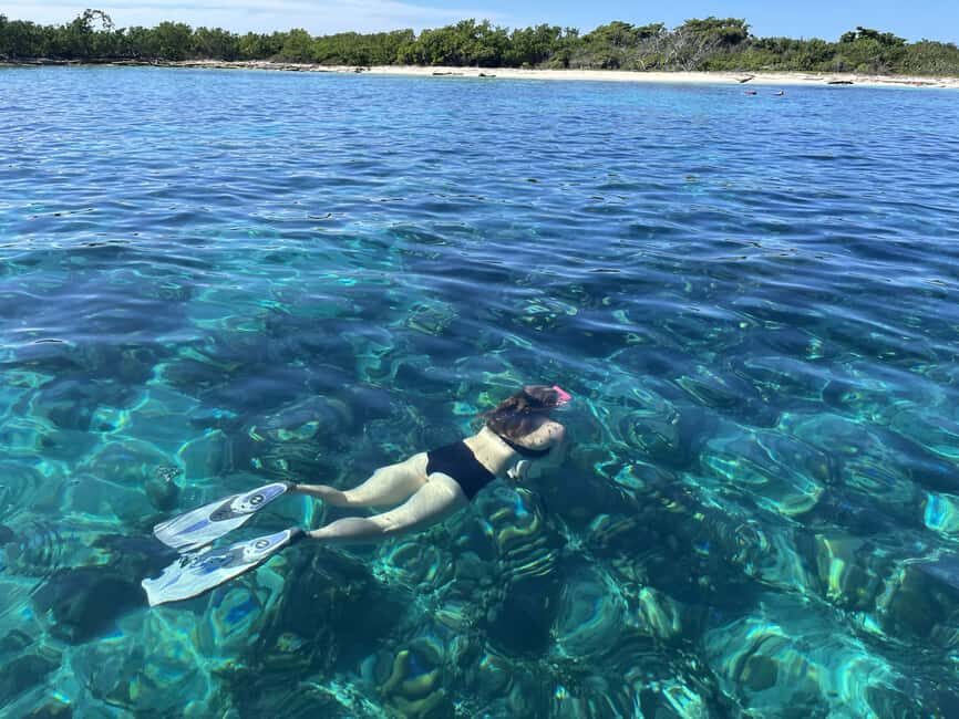 From Punta Cana: Small Group Catalina Island Snorkeling Tour - Should You Book This Catalina Island Tour?