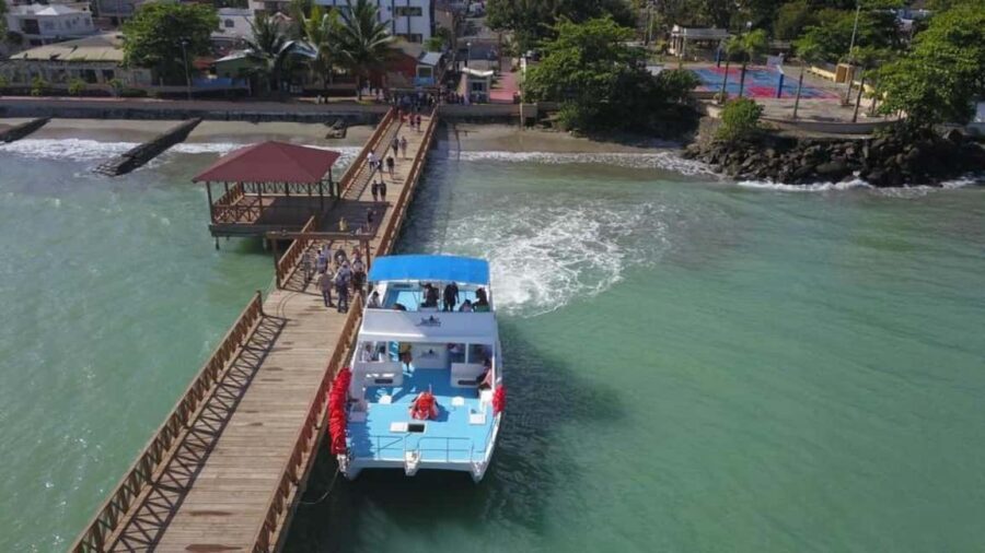 From Punta Cana: Whale Watching and Montana Redonda Tour - Key things to know before you go
