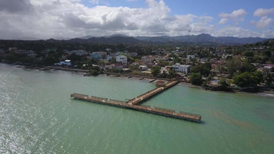 From Punta Cana: Whale Watching and Montana Redonda Tour - Samana Bay whale watching from a catamaran: what to expect
