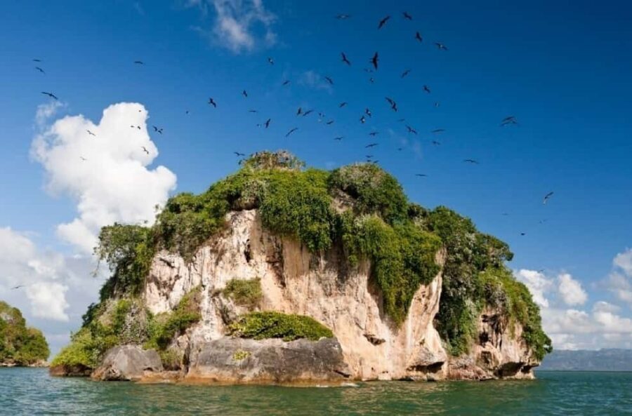 From Samana: Los Haitises Boat and Walking Tour with Lunch - Key points to know before you go
