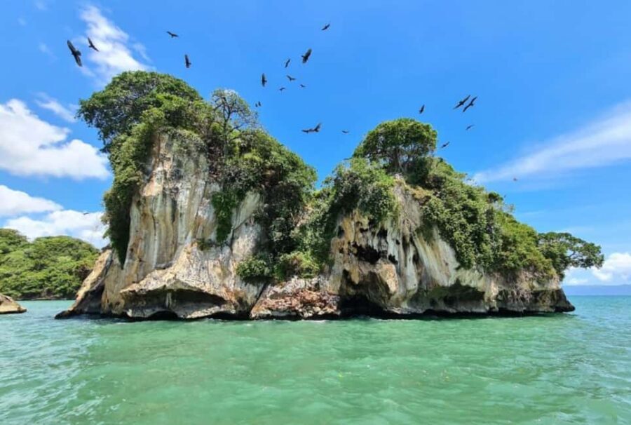 From Samana: Los Haitises Boat and Walking Tour with Lunch - Should you book the Los Haitises boat and walking tour with lunch?