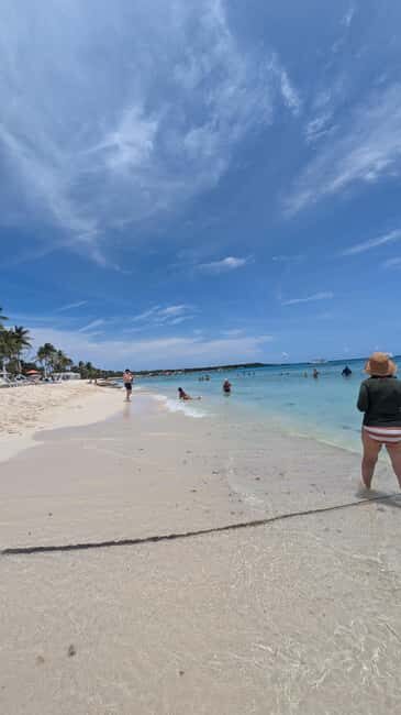 From Santo Domingo: Catalina Island Day Tour - Where You Meet in Santo Domingo (and Why 7:30 a.m. Matters)