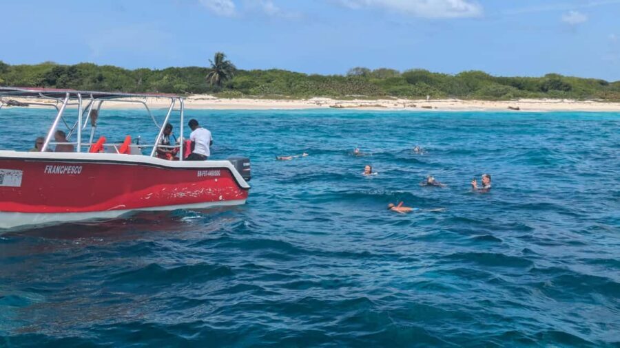 From Santo Domingo: Catalina Island Day Tour - Lunch and the Open Bar: Included Convenience With Mixed Expectations