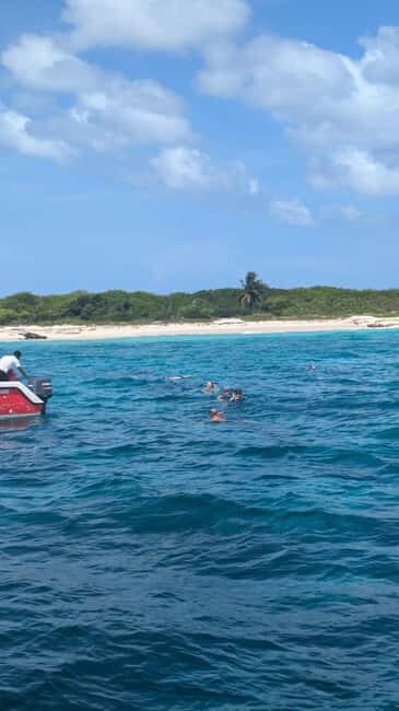 From Santo Domingo: Catalina Island Day Tour - Beach Comfort: Loungers, No-Sweat Gear, and Small Rules