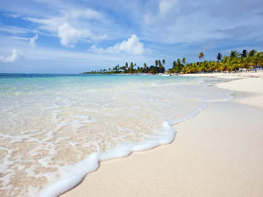 From Santo Domingo: Saona Island Day Trip with Lunch - Key Things to Know Before You Go