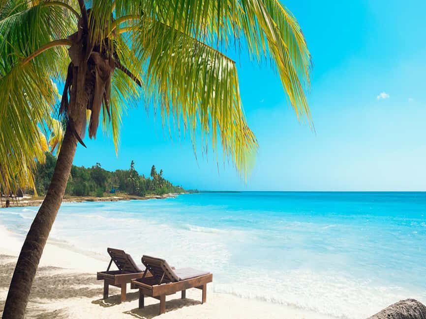 From Santo Domingo: Saona Island Day Trip with Lunch - What to Bring: The Easy Checklist That Saves Your Day