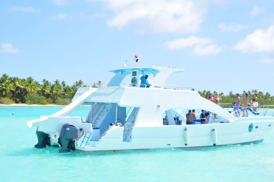 From Santo Domingo: Whale Watching & Cayo Levantado - On the water: how whale watching near Cayo Levantado really feels