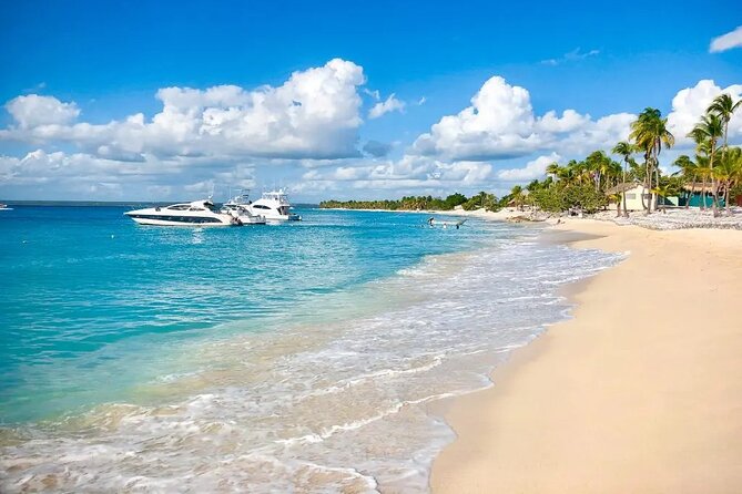 Full-day at Catalina Island from Santo Domingo with optional snorkeling included - Why this Catalina Island day trip feels different