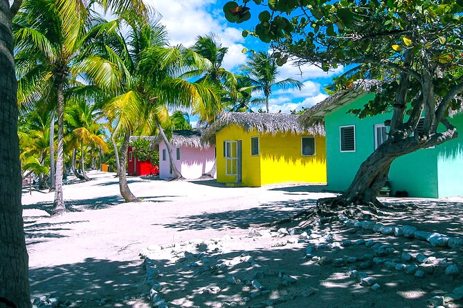 Full-day at Catalina Island from Santo Domingo with optional snorkeling included - The full-day timeline: 6:00 am pickup to around 3:00 pm return