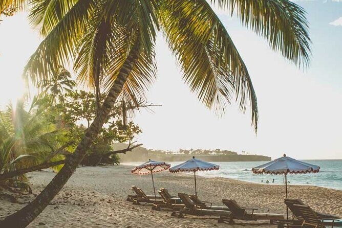 Full-Day Blue Lagoon Tour in Dominican Republic - Who This Tour Fits Best (and Who Might Want Something Different)