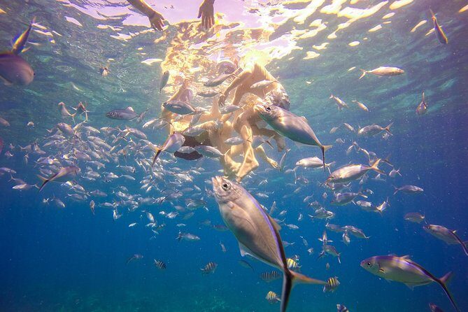 Full-Day Catalina Island Snorkeling Tour from La Romana - Catalina beach on the west side: why the second half feels worth it